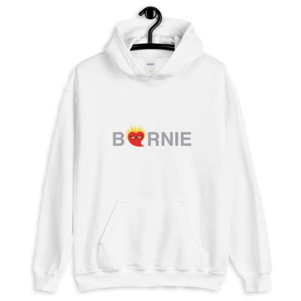 funny hoodies, Bernie 2020, edgy hoodies