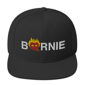 snapback hats, Bernie Sanders, Bernie 2020
